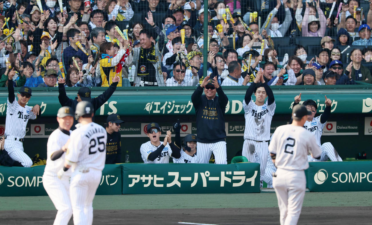 阪神対巨人　5回裏阪神2死二塁、代打渡辺の中前適時打に盛り上がるベンチのナイン（撮影・加藤哉）