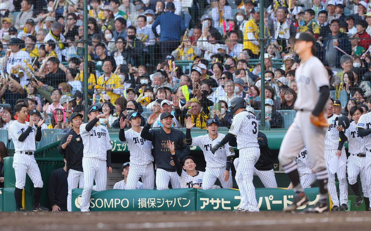阪神対巨人　8回裏阪神1死満塁、坂本の左越え2点適時二塁打で生還の大山（手前）を出迎える阪神の選手ら（撮影・上山淳一）