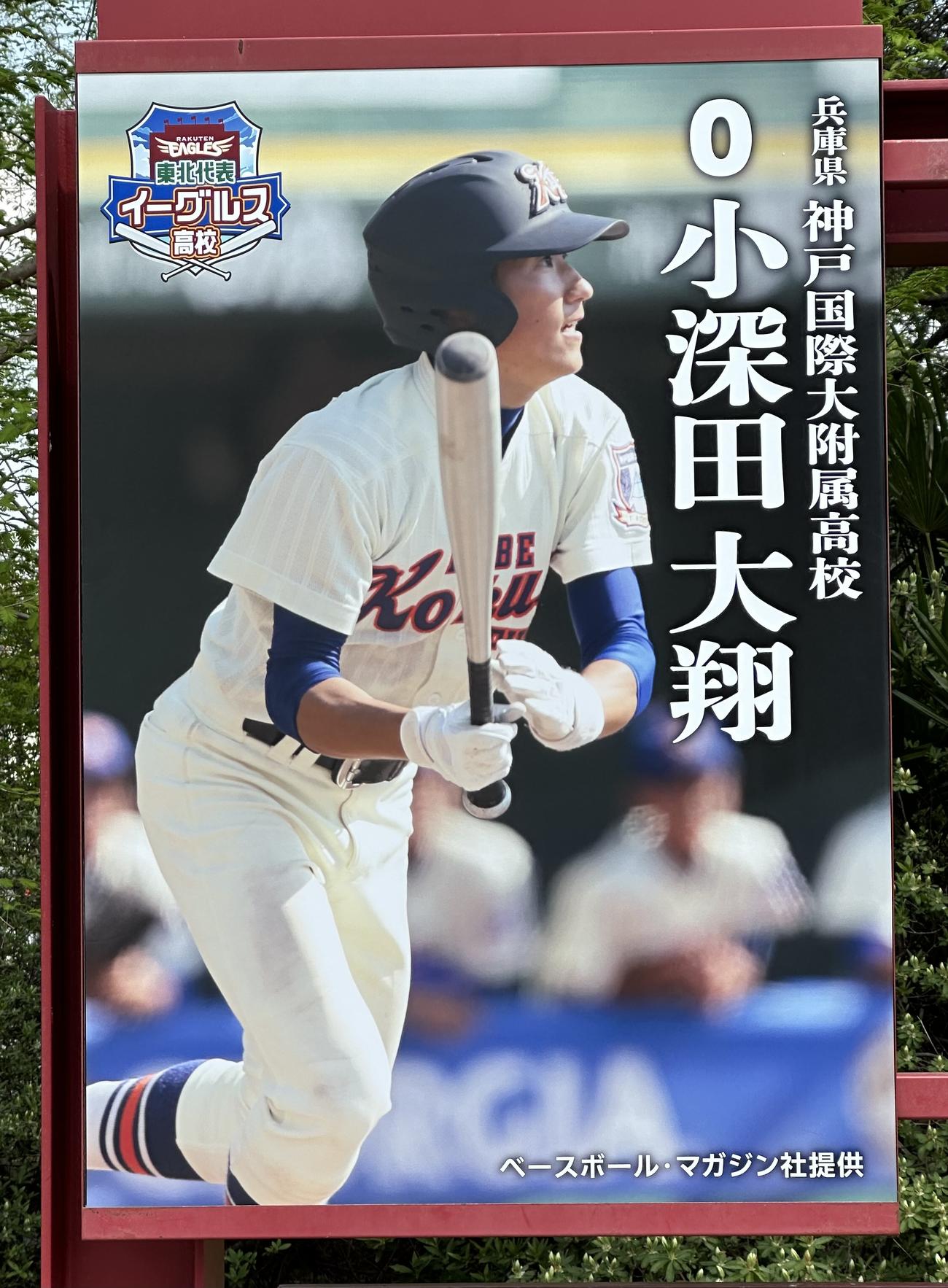 楽天対ソフトバンク　球場の門を入ると、楽天の選手の高校時代の写真パネルが飾られていた(撮影・浅見桂子)