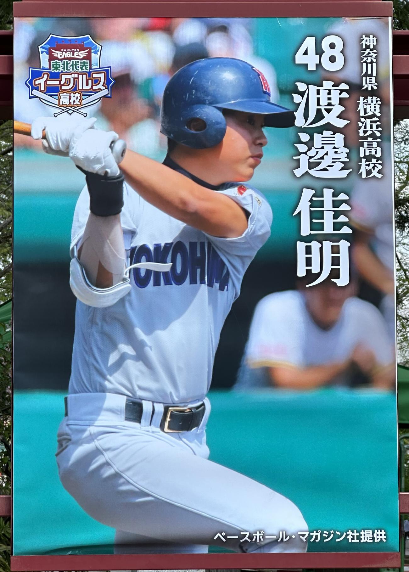 楽天対ソフトバンク　球場の門を入ると、楽天の選手の高校時代の写真パネルが飾られていた(撮影・浅見桂子)