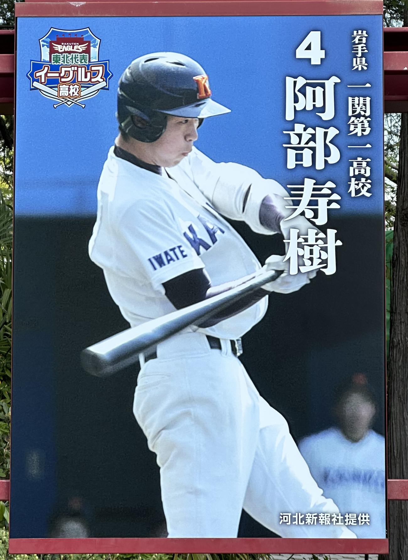 楽天対ソフトバンク　球場の門を入ると、楽天の選手の高校時代の写真パネルが飾られていた(撮影・浅見桂子)