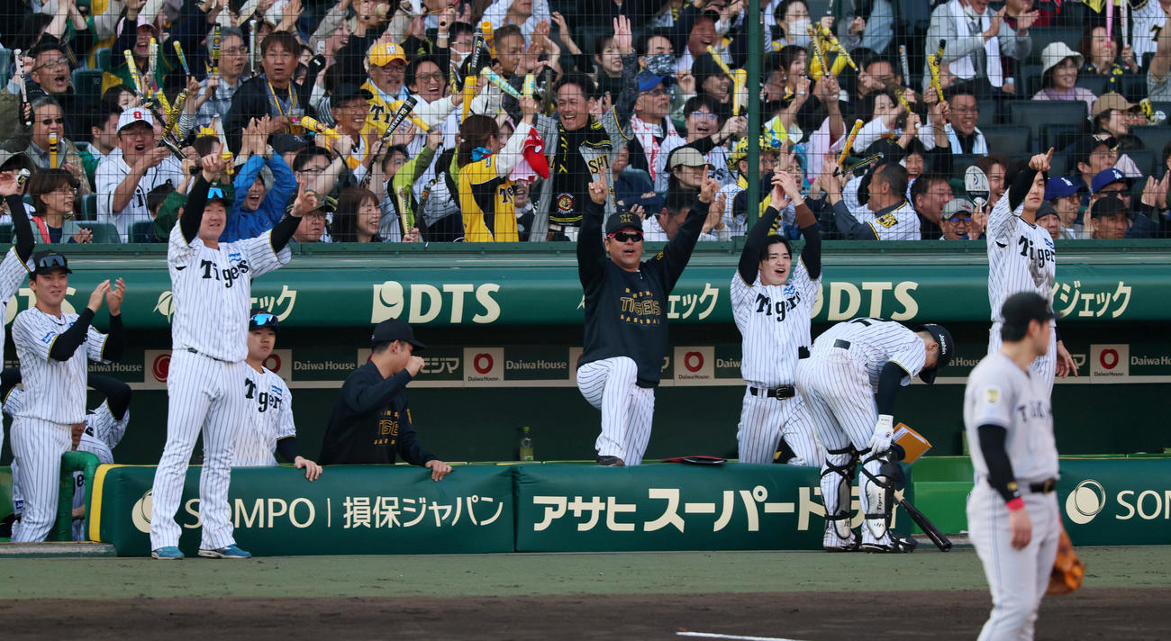 阪神対巨人　8回裏阪神1死一、二塁、大山の左越え適時二塁打に盛り上がるベンチのナイン（撮影・加藤哉）