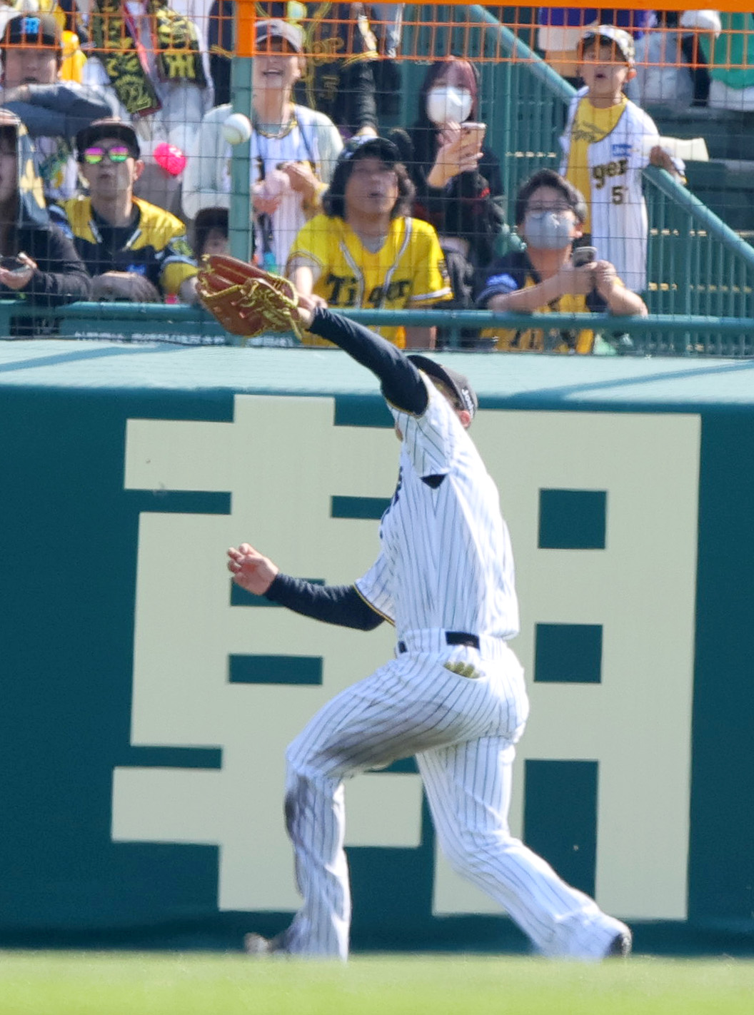阪神対巨人　5回表巨人2死満塁、右翼手森下は吉川の打球を好捕する（撮影・上山淳一）