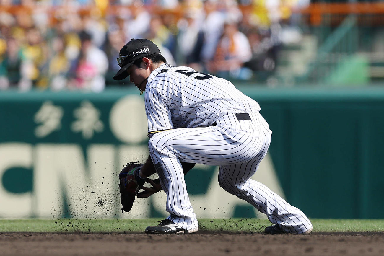 阪神対巨人　4回表巨人無死三塁、岡本の打球で好守を見せる二塁手中野（撮影・前田充）