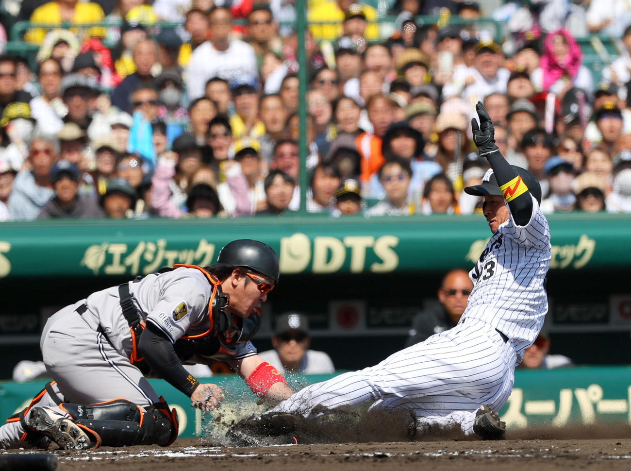 阪神対巨人　1回裏阪神2死一、二塁、二近本（右）は大山の左前適時打で先制生還する、捕手甲斐（撮影・上山淳一）