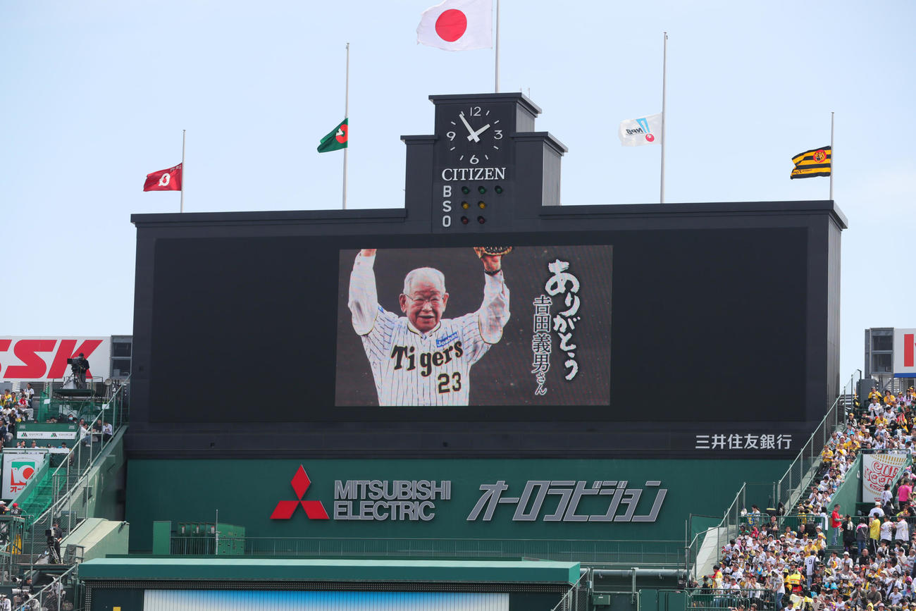 阪神対巨人　吉田義男さん追悼映像が流れる甲子園球場（撮影・上山淳一）