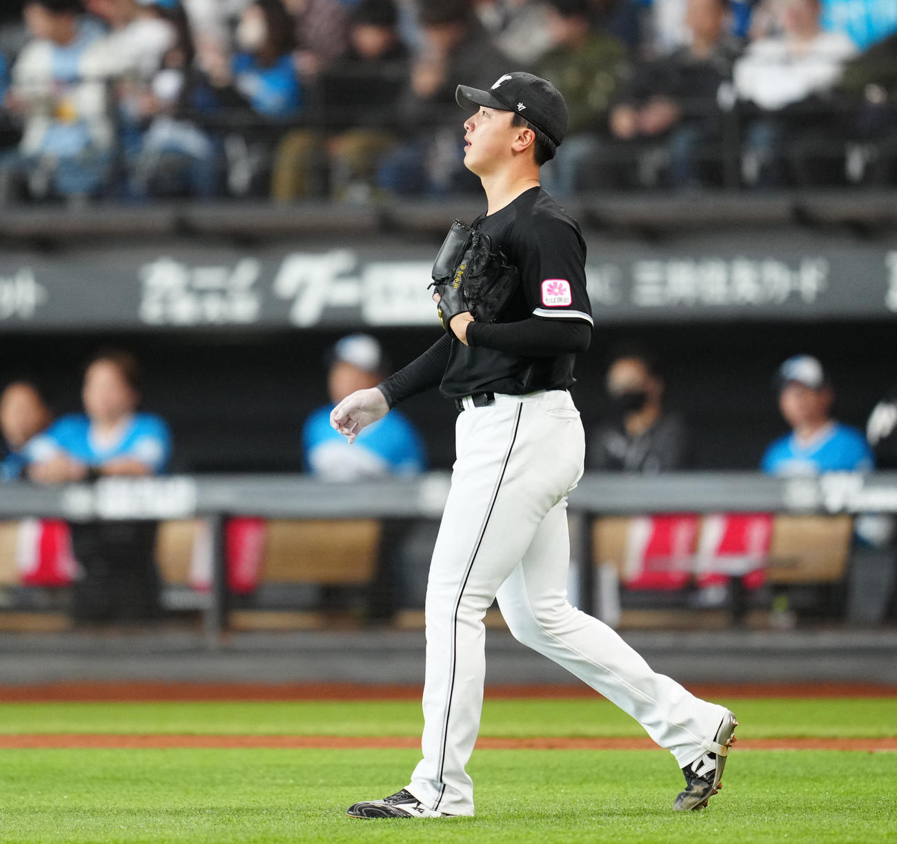 日本ハム対ロッテ　1回裏日本ハム2死二塁、野村に適時打を浴びた田中晴（撮影・江口和貴）