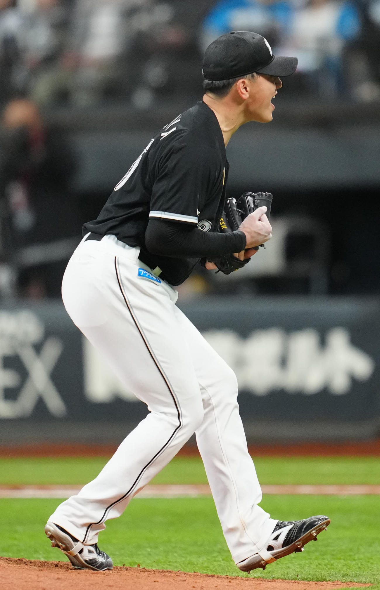 日本ハム対ロッテ　5回裏日本ハム2死一、三塁、レイエスから空振り三振を奪い、雄たけびを上げる田中晴（撮影・江口和貴）