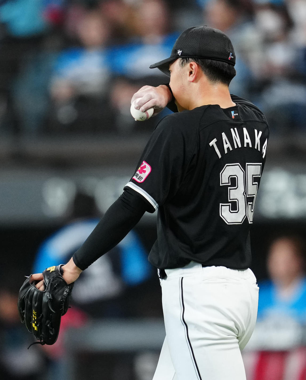 日本ハム対ロッテ　2回裏日本ハム2死二塁、水野に適時三塁打を浴びた田中晴（撮影・江口和貴）
