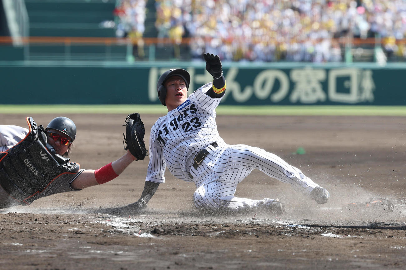 阪神対巨人　1回裏阪神2死一、二塁、大山の適時打で生還する近本。捕手甲斐（撮影・前田充）