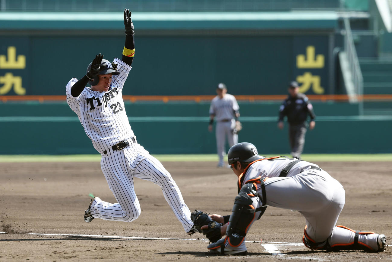 阪神対巨人　1回裏阪神2死一、二塁、大山の適時打で生還する近本。捕手甲斐（撮影・前田充）