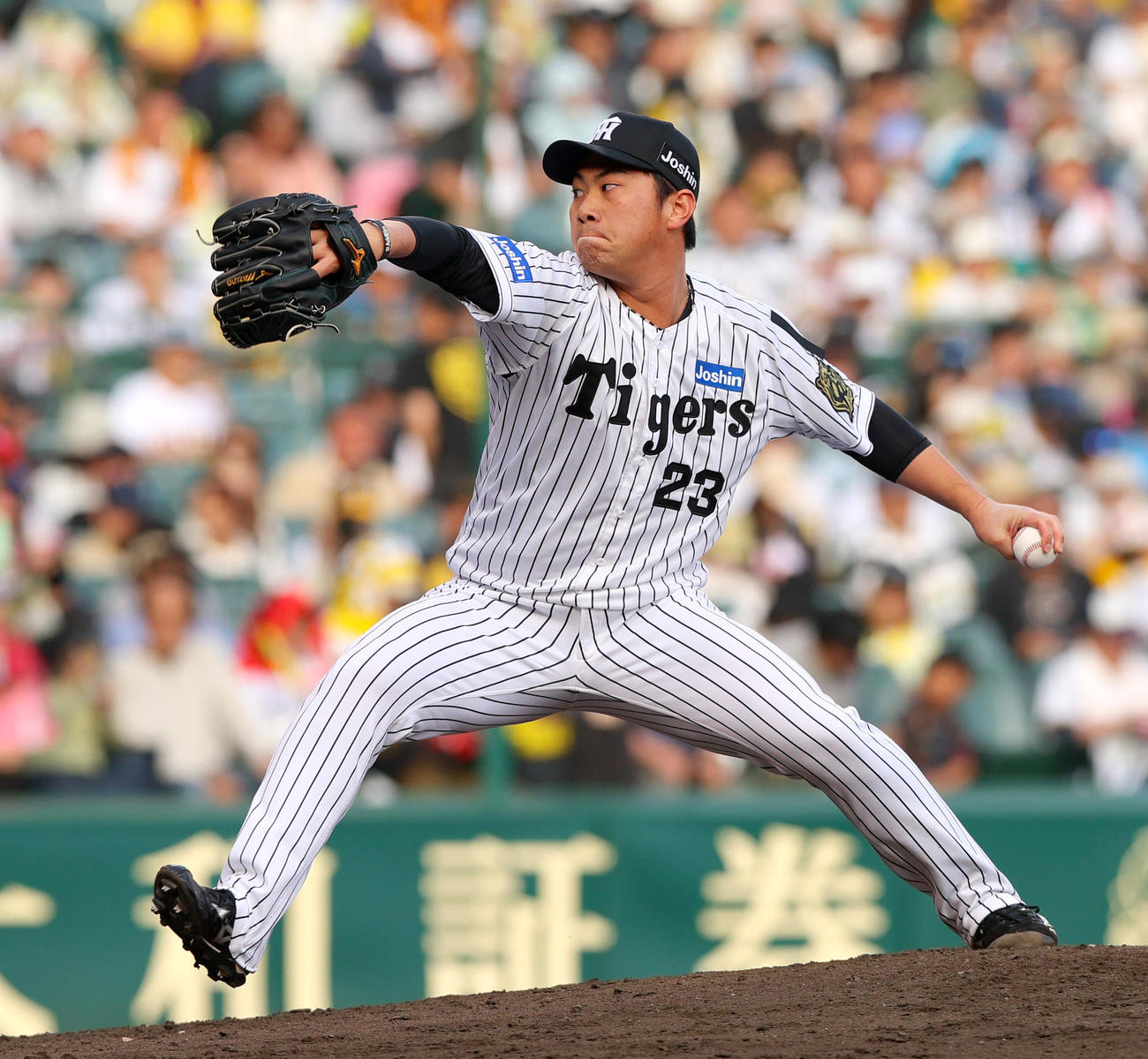 阪神対巨人　8回表、3番手で登板の阪神桐敷（撮影・上山淳一）