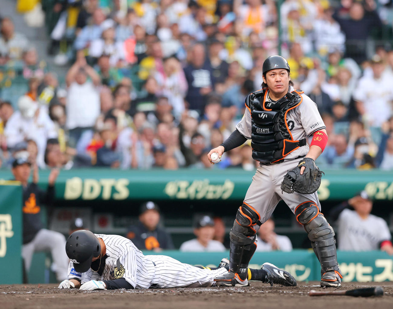 阪神対巨人　9回裏阪神1死三塁、代打渡辺の遊ゴロ三走植田（左）はホームを狙うがタッチアウト。捕手甲斐（撮影・上山淳一）