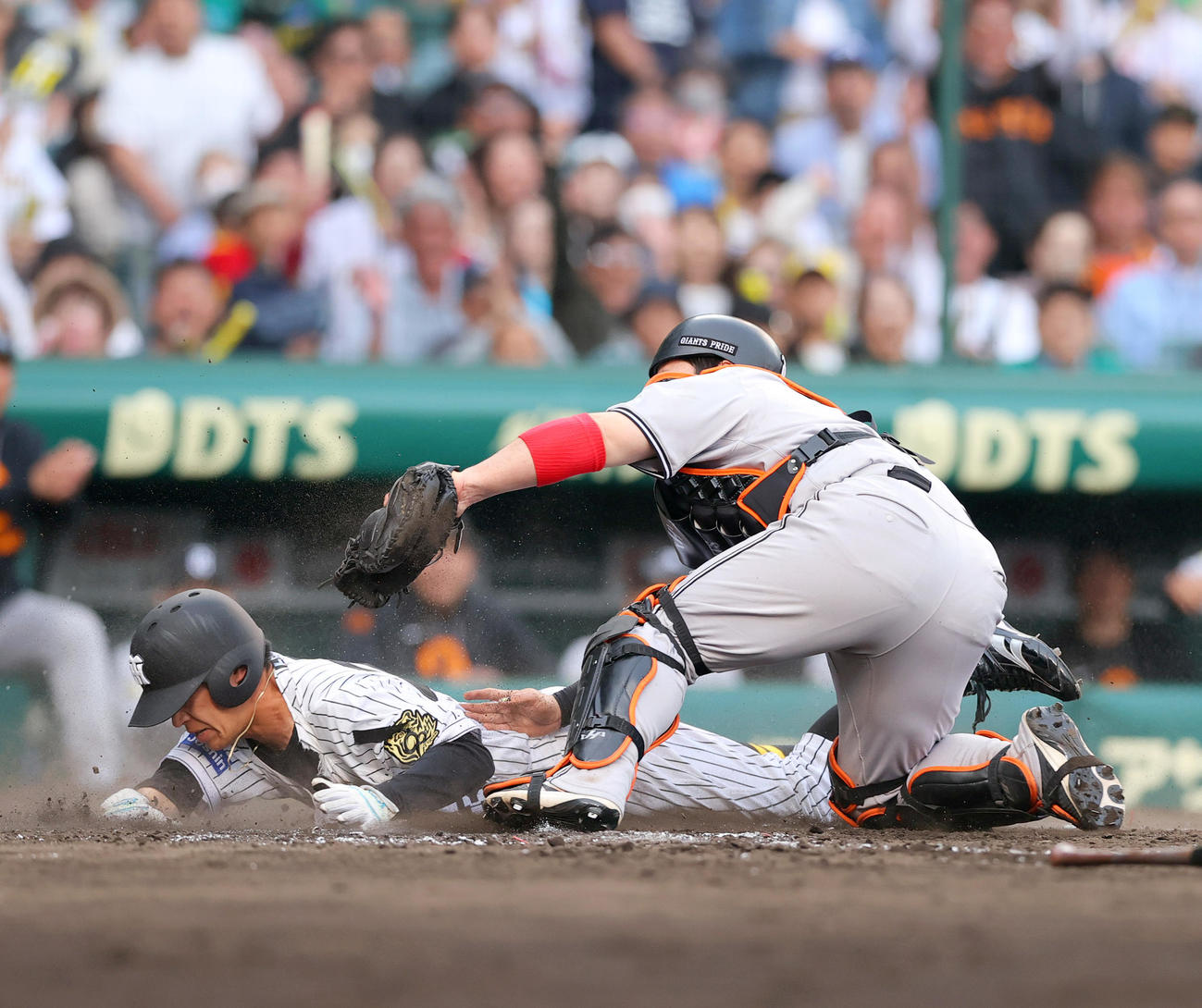 阪神対巨人　9回裏阪神1死三塁、代打渡辺の遊ゴロ三走植田（右）はホームを狙うがタッチアウト。捕手甲斐（撮影・上山淳一）