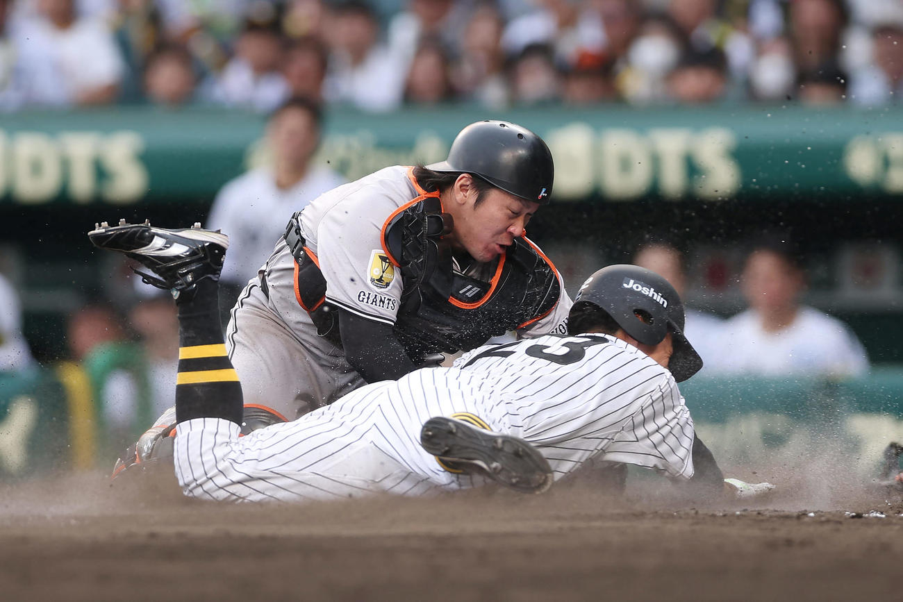 阪神対巨人　9回裏阪神1死三塁、代打渡辺の遊ゴロをさばいた泉口から送球を受け、植田（手前）の生還を阻止する甲斐（撮影・前田充）