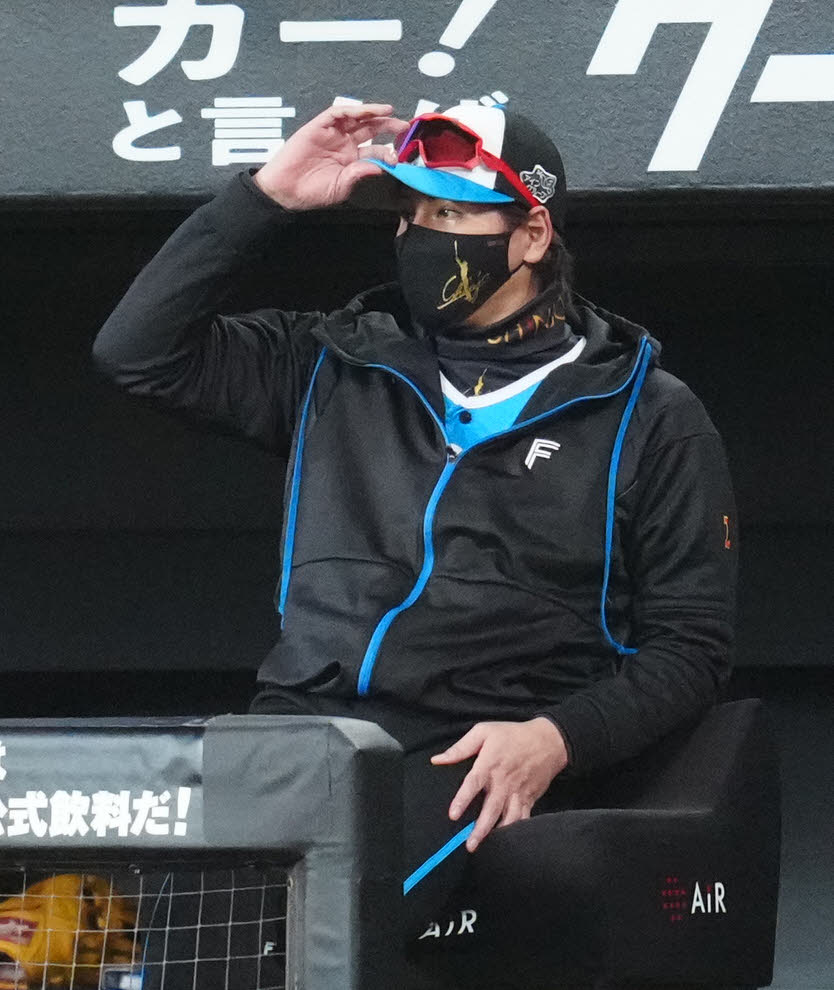 日本ハム対ロッテ　7回裏、ベンチから戦況を見つめる日本ハム新庄監督（撮影・江口和貴）