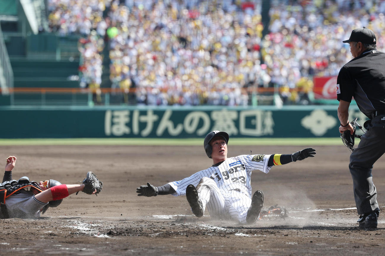 阪神対巨人　1回裏阪神2死一、二塁、大山の適時打で生還しセーフをアピールする近本。捕手甲斐（撮影・前田充）