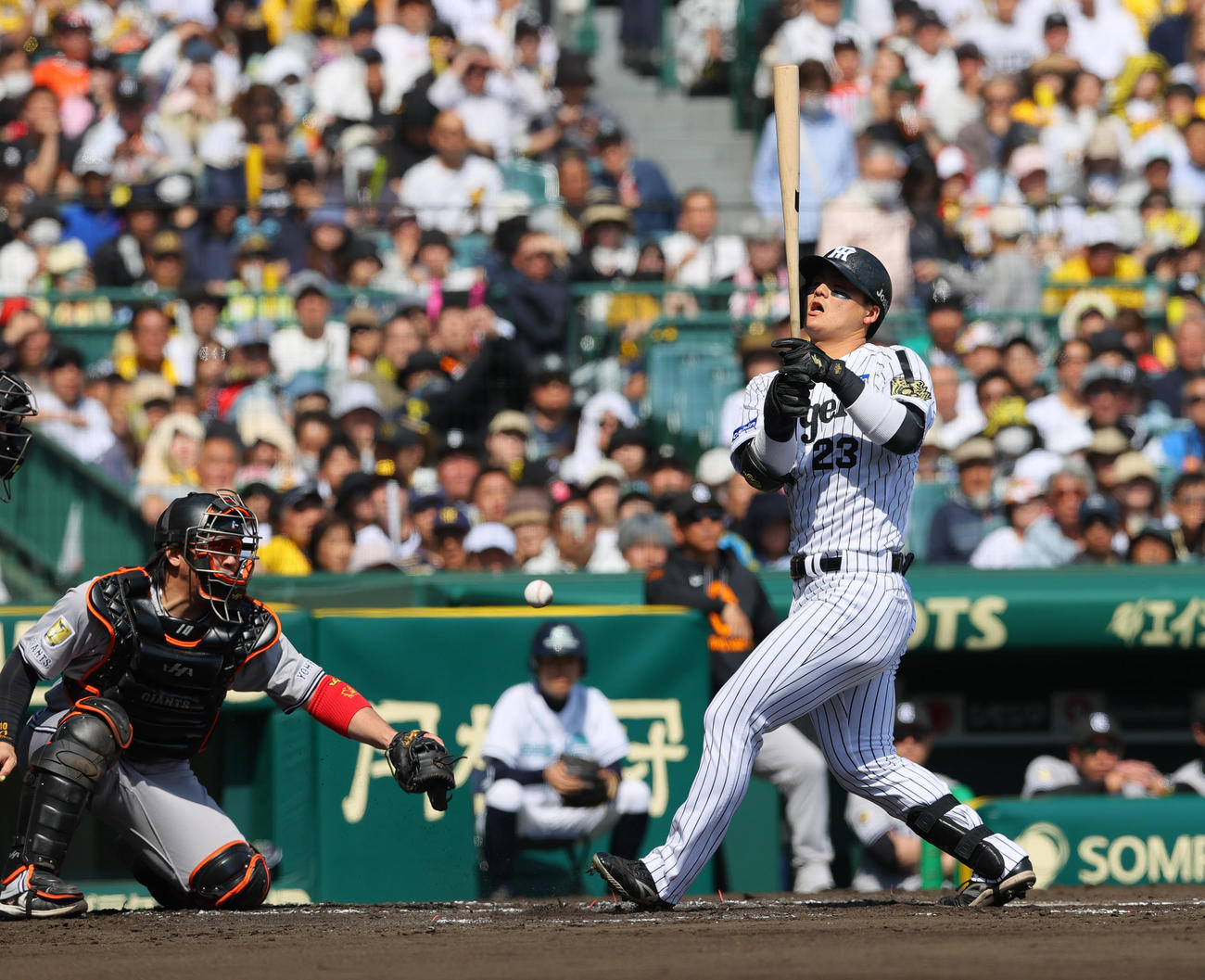 阪神対巨人　1回裏阪神2死一、三塁、前川は死球を受ける（撮影・上山淳一）