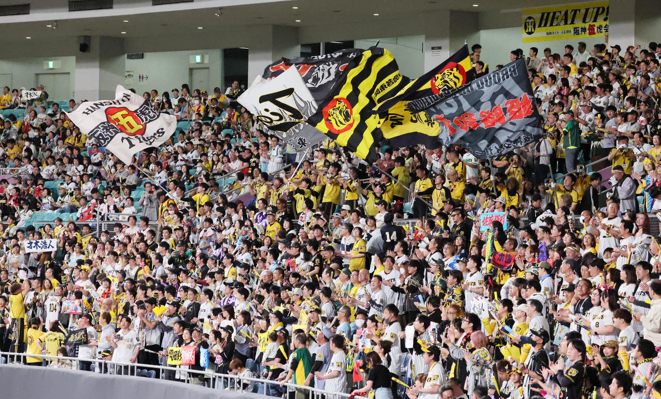 中日対阪神　声援を送る阪神ファン（撮影・加藤哉）