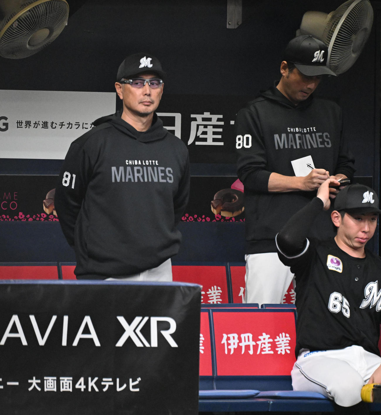 オリックス対ロッテ　2回、ベンチから戦況を見るロッテ吉井監督（撮影・和賀正仁）