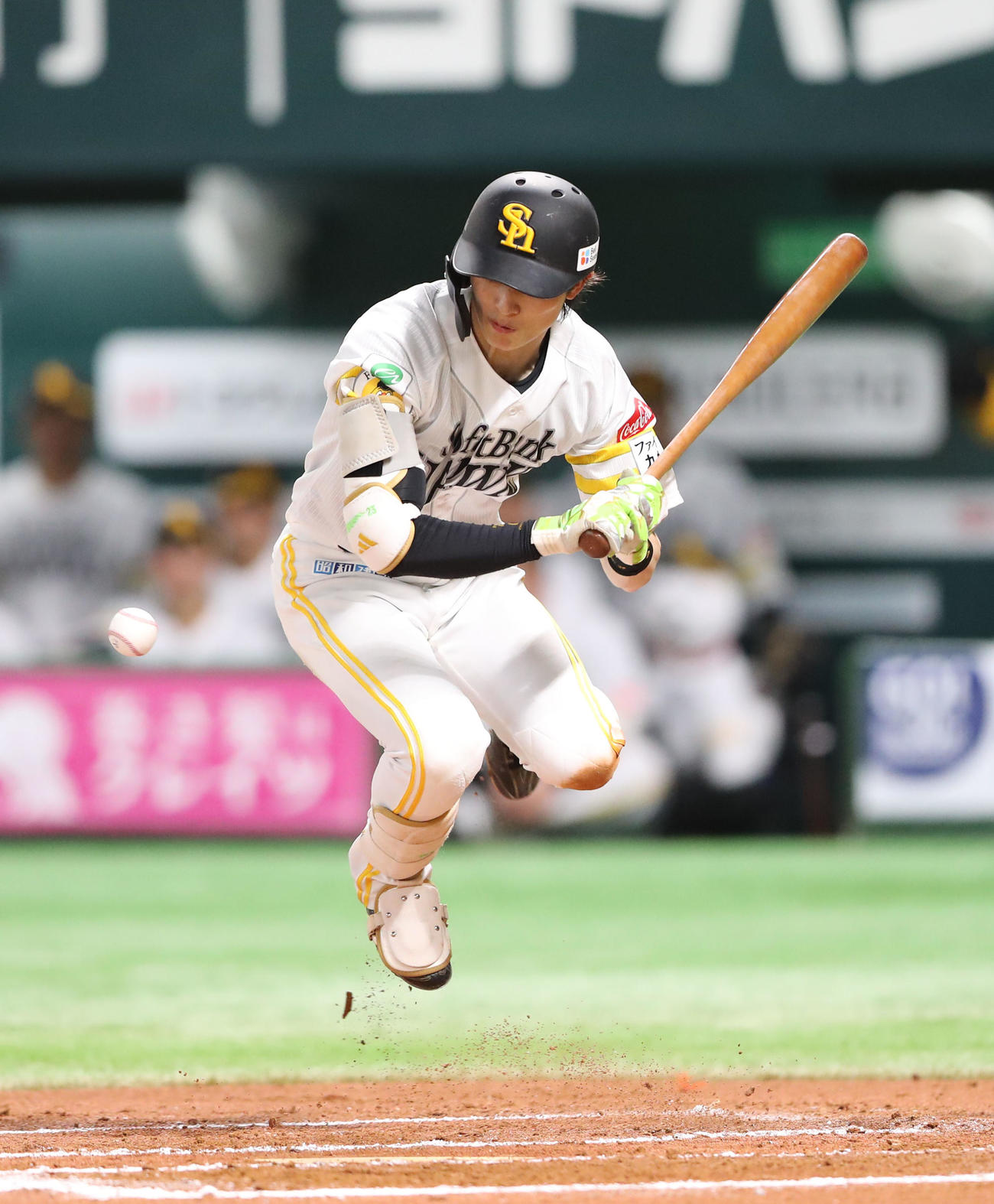 4月23日　ソフトバンク対オリックス　6回裏ソフトバンク2死三塁、周東は右足に死球を受け痛さで転がる