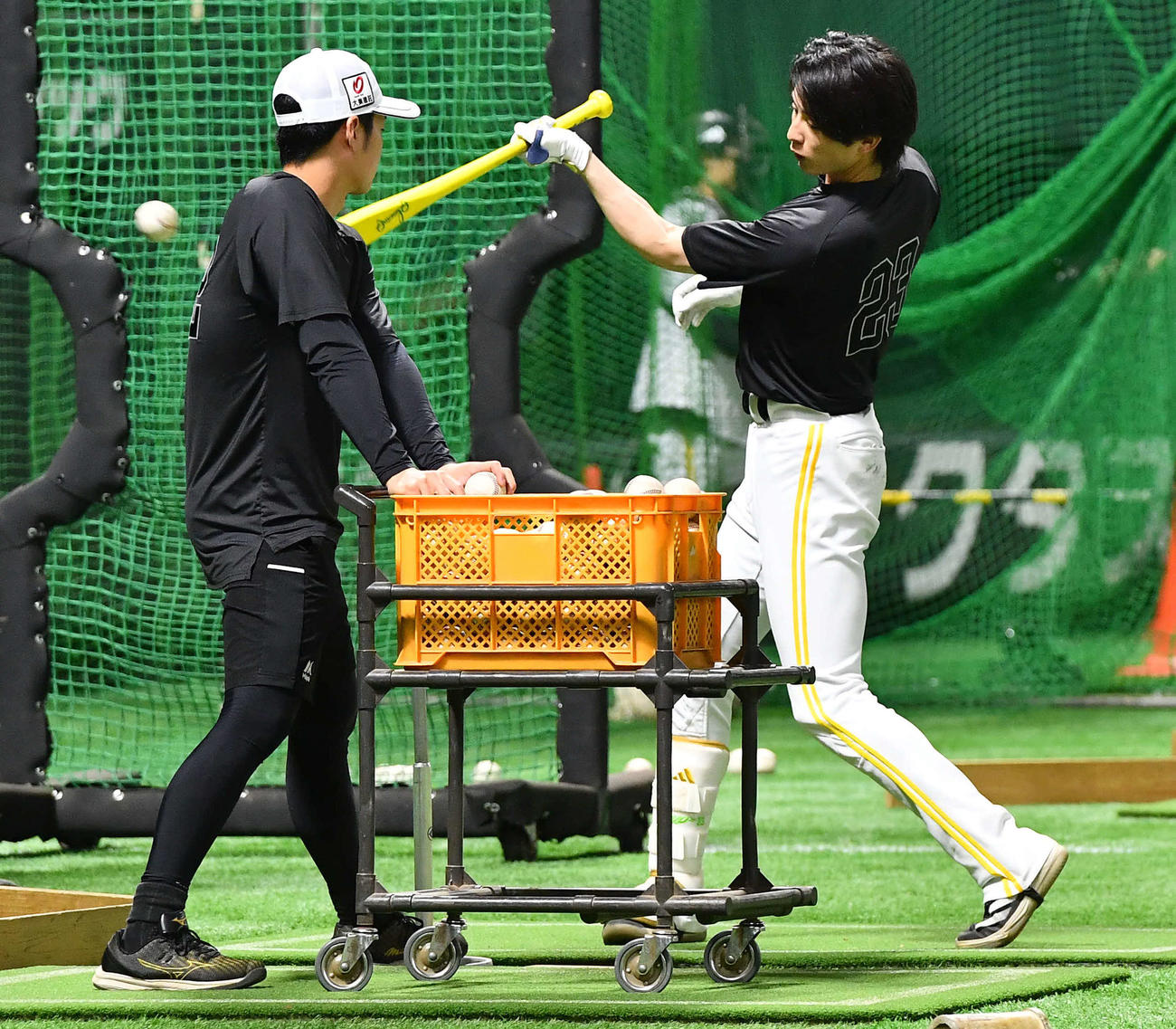 ソフトバンク対日本ハム　打撃練習を行うソフトバンク周東（撮影・岩下翔太）