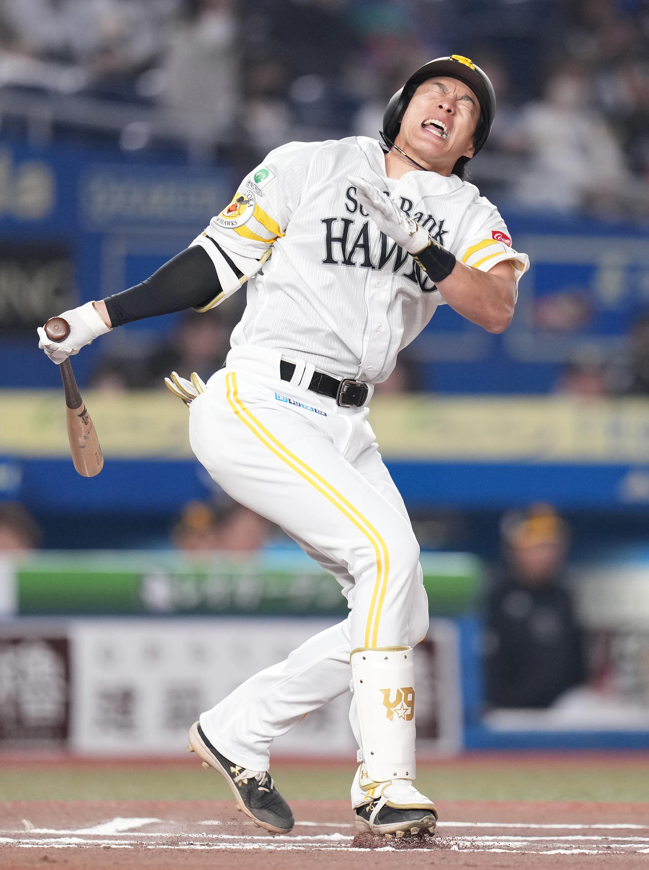 柳田悠岐