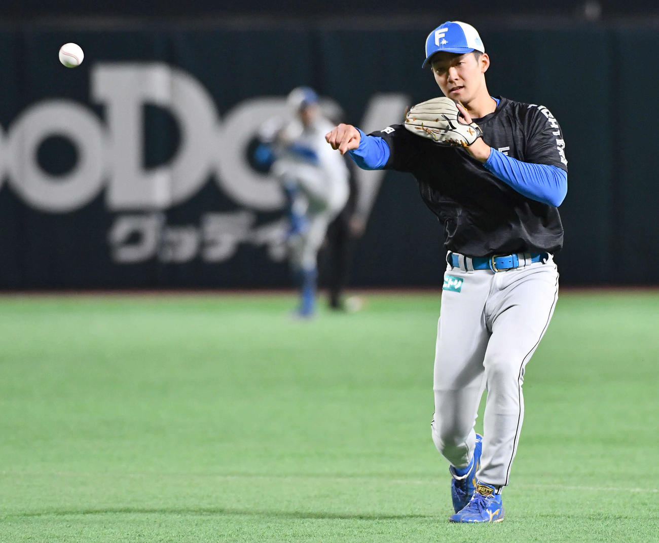 ソフトバンク対日本ハム　試合前、ノックを受ける日本ハム石井（撮影・岩下翔太）