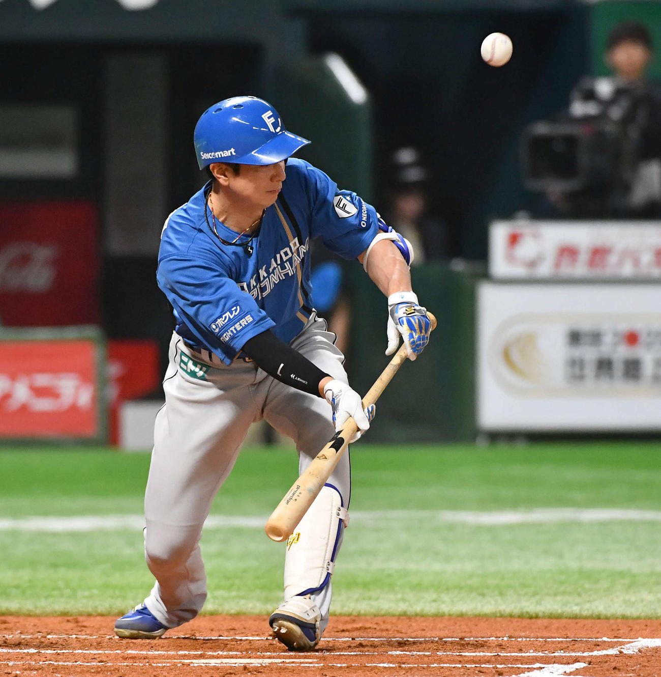 ソフトバンク対日本ハム　2回表日本ハム無死一、二塁、送りバントを狙うも捕邪飛に倒れた松本剛（撮影・岩下翔太）