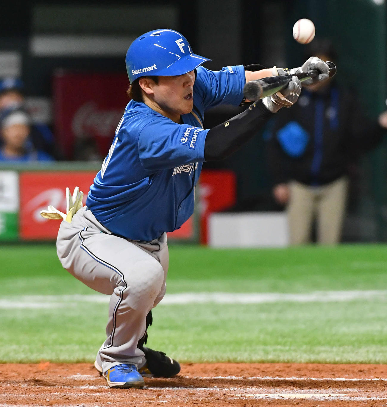 ソフトバンク対日本ハム　7回表日本ハム1死二、三塁、スクイズを狙うも一邪飛に倒れた伏見（撮影・岩下翔太）