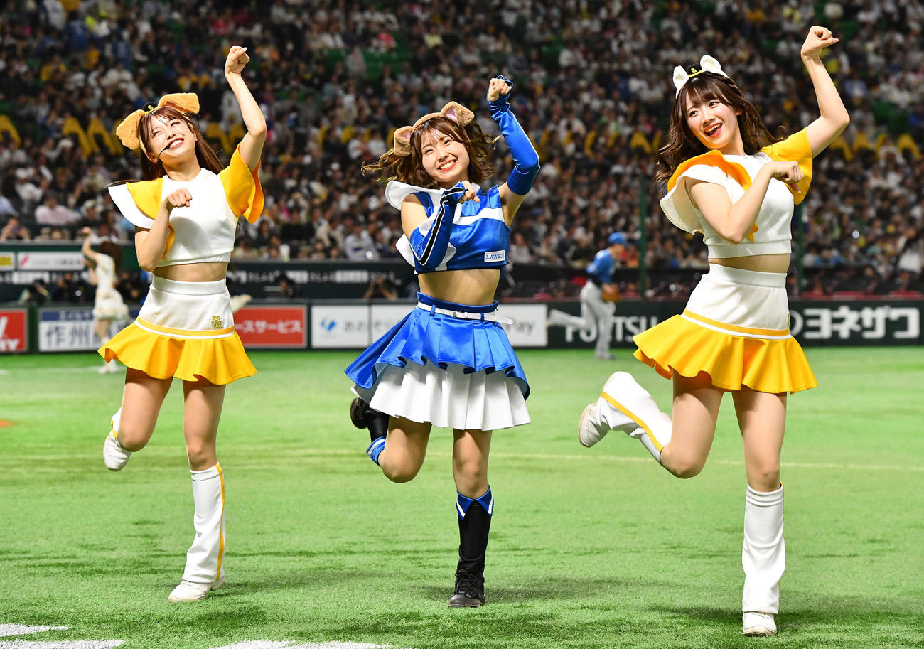 ソフトバンク対日本ハム　4回表終了後、わんわんダンスでファイターズガールとコラボするハニーズ（撮影・岩下翔太）
