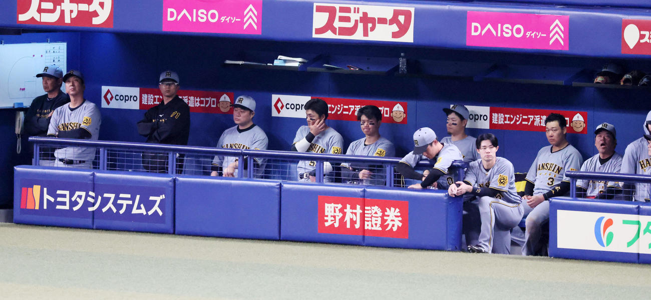 中日対阪神　9回表阪神2死、ベンチからグラウンドを見るナインと左から2人目は藤川監督（撮影・加藤哉）