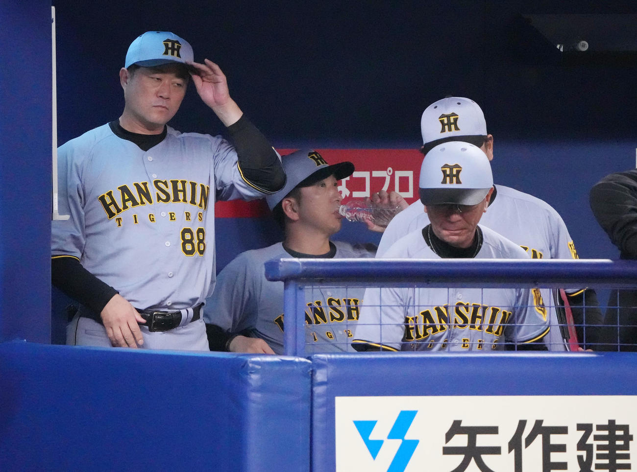 中日対阪神　3回表終了、藤川監督（左から2人目）はベンチで水を飲む（撮影・森本幸一）