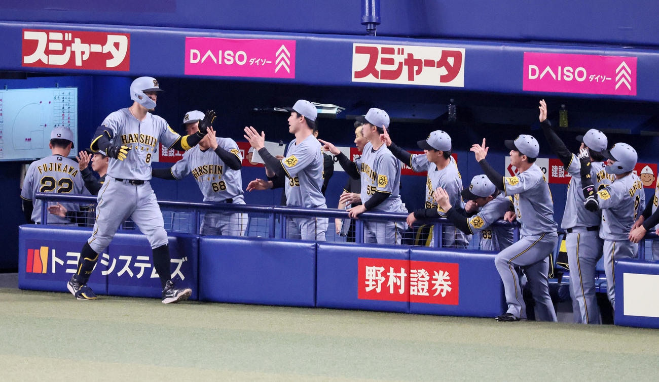 中日対阪神　4回表阪神1死、佐藤輝は右越えソロ本塁打を放ちベンチのナインとタッチする（撮影・加藤哉）
