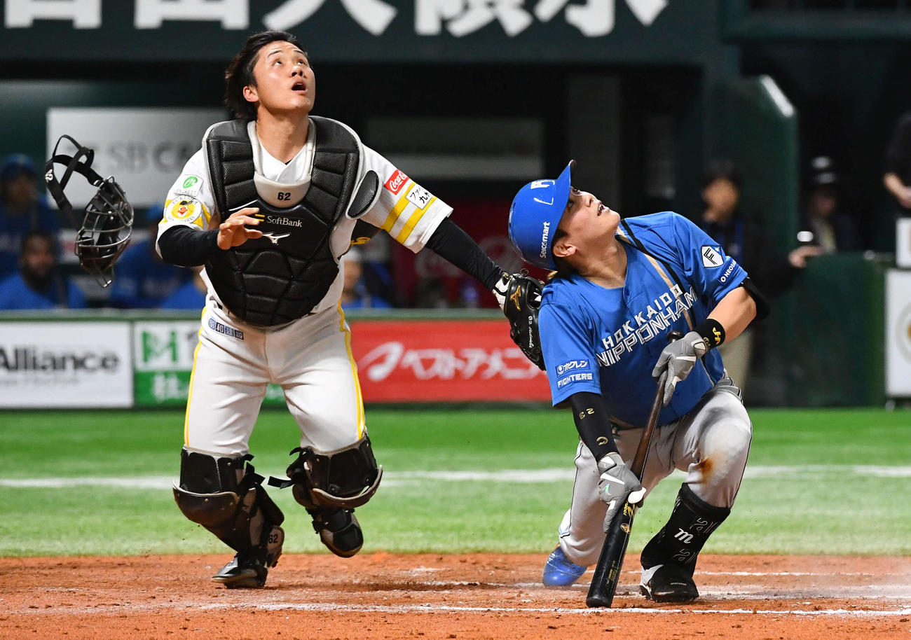 ソフトバンク対日本ハム　7回表日本ハム1死二、三塁、スクイズを狙うも一邪飛に倒れた伏見（撮影・岩下翔太）