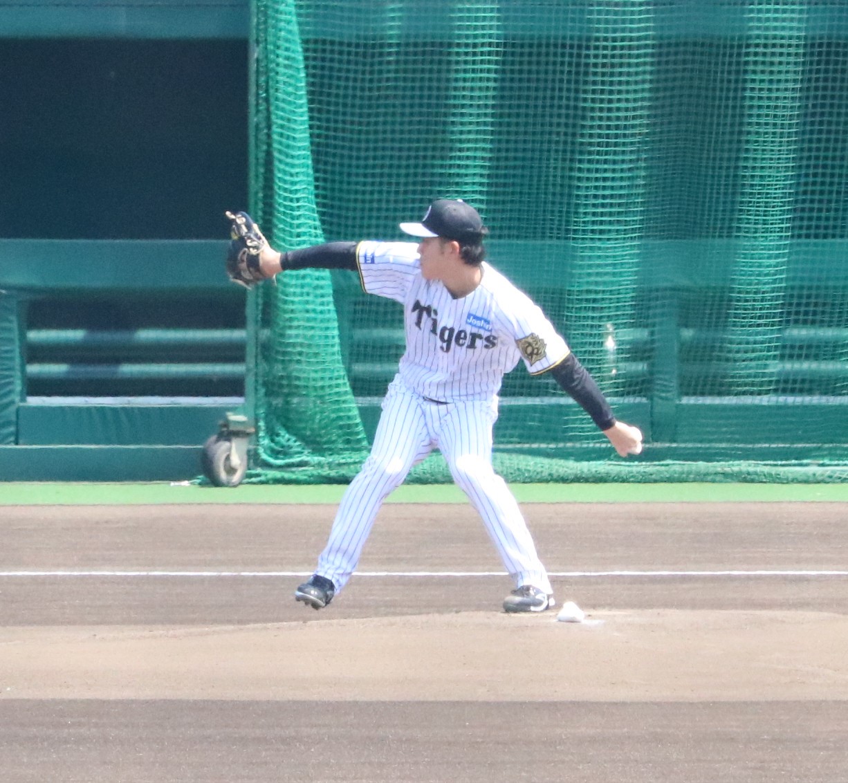 阪神の富田がライブBPで登板する（撮影・林亮佑）