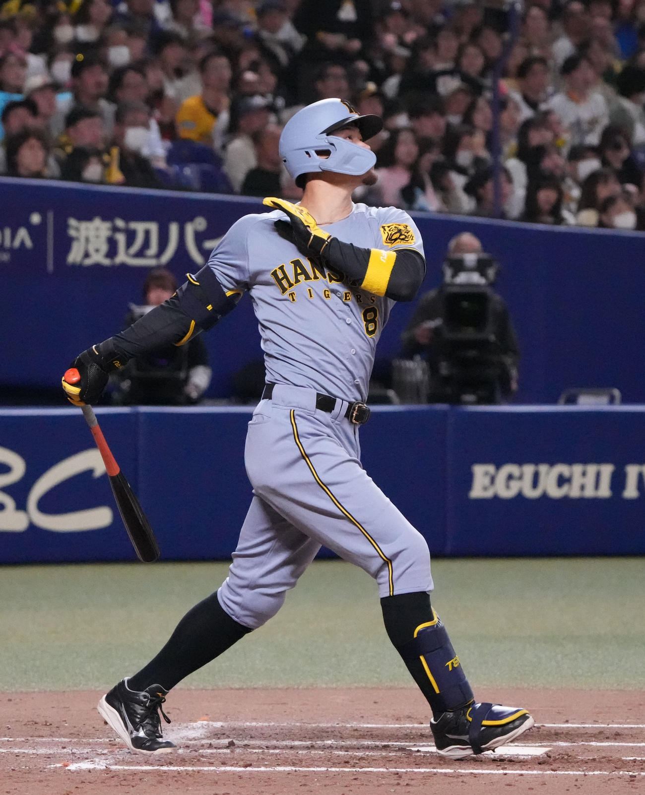 阪神佐藤輝明（2025年4月29日撮影）