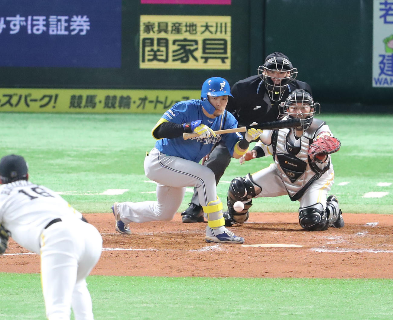ソフトバンク対日本ハム　4回表日本ハム1死一、三塁、水野はセーフティースクイズ成功（撮影・梅根麻紀）