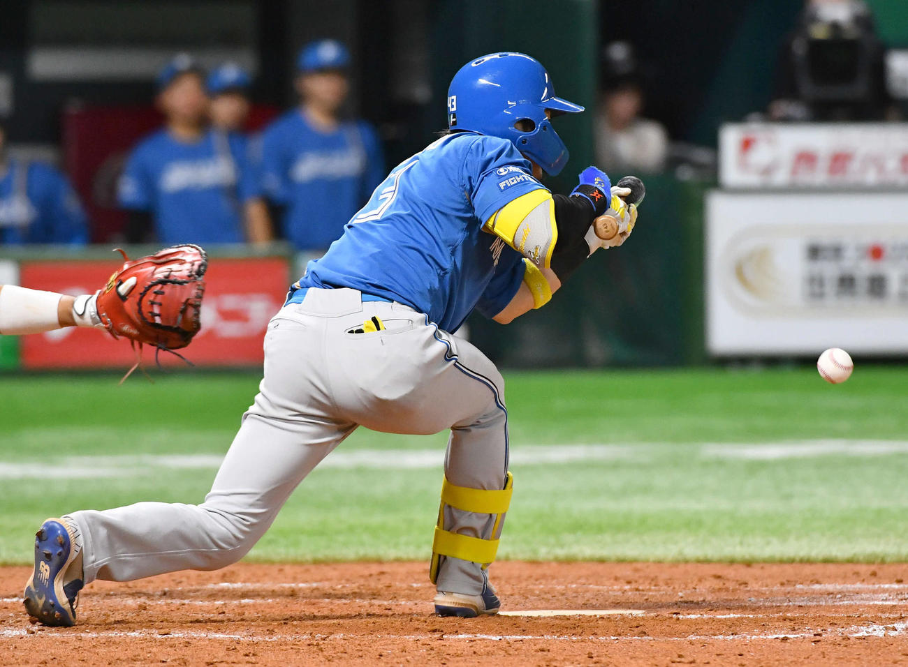 ソフトバンク対日本ハム　4回表日本ハム1死一、三塁、セーフティースクイズを成功させる水野（撮影・岩下翔太）