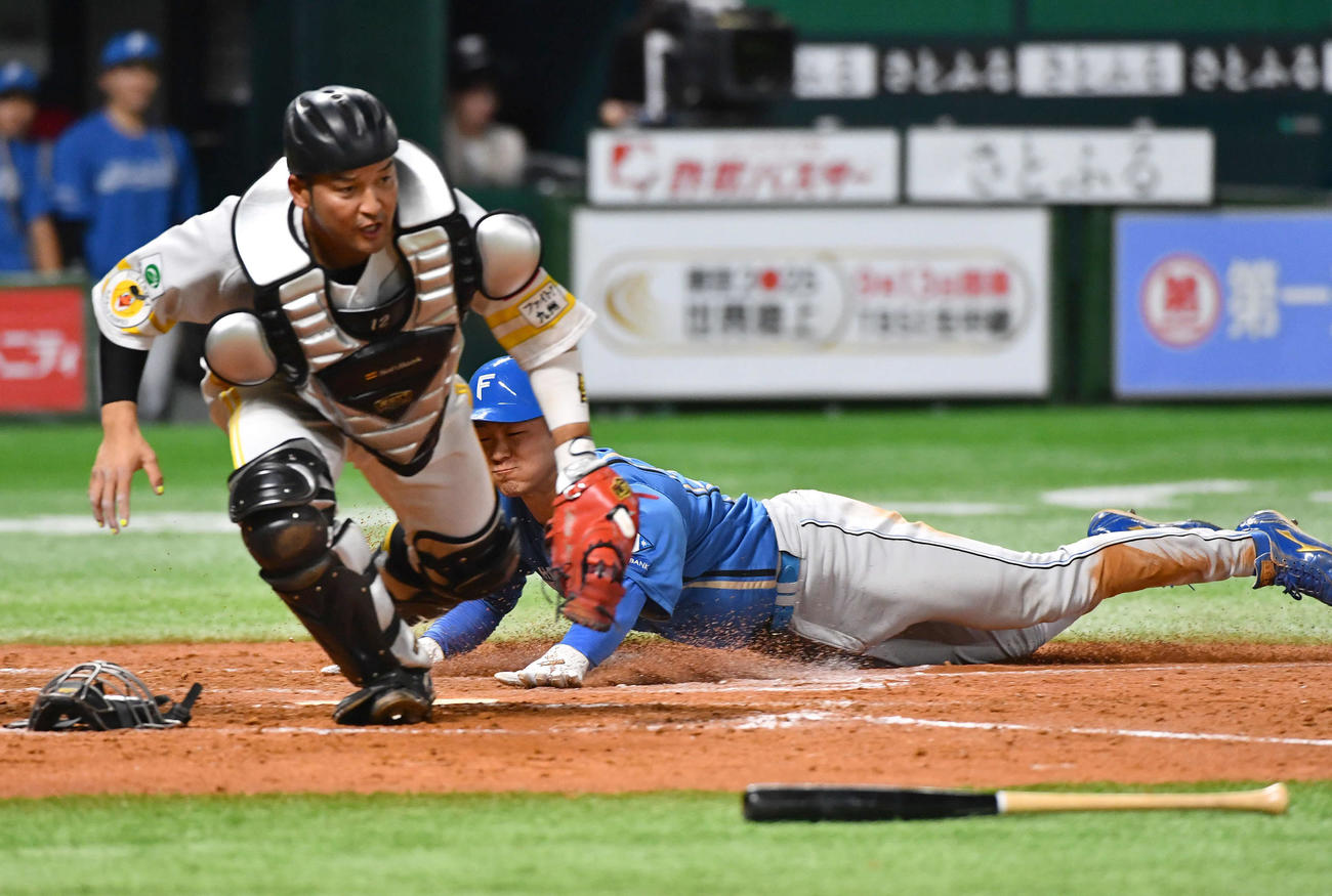 ソフトバンク対日本ハム　4回表日本ハム1死一、三塁、水野のセーフティースクイズで生還する三塁走者の石井（撮影・岩下翔太）