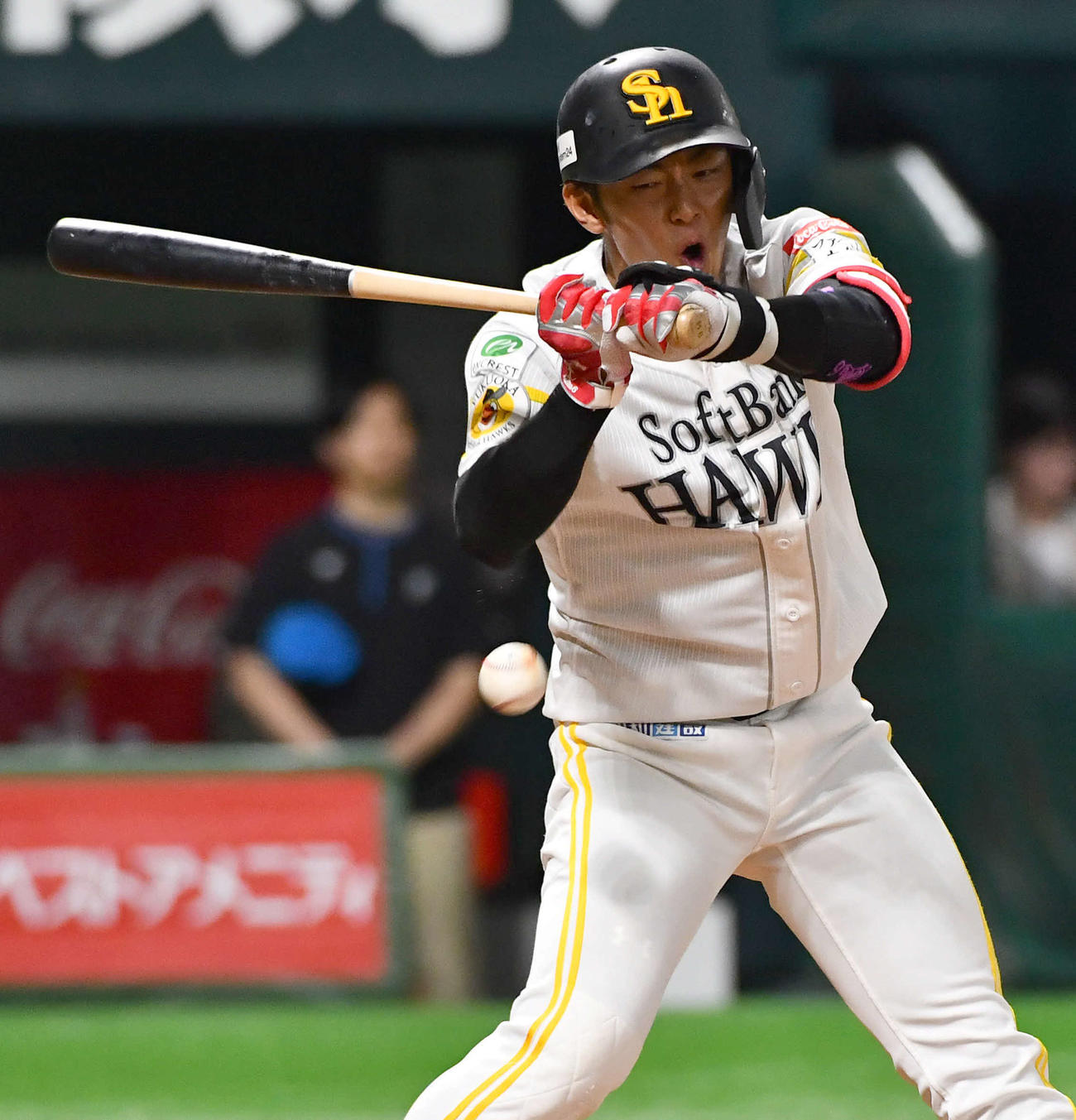 ソフトバンク対日本ハム　8回裏ソフトバンク2死、死球を受ける今宮（撮影・岩下翔太）