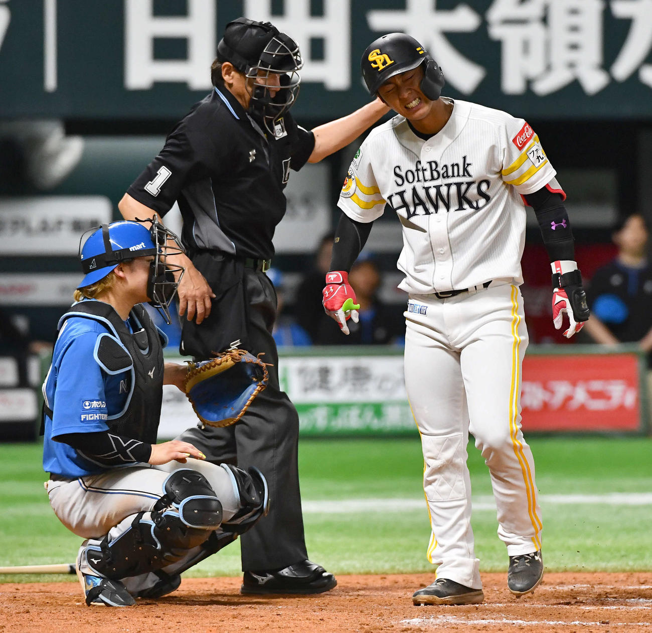 ソフトバンク対日本ハム　8回裏ソフトバンク2死、死球を受け、痛みに顔をゆがめる今宮（撮影・岩下翔太）