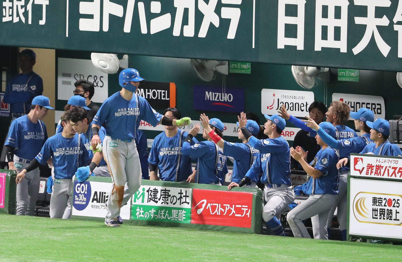 ソフトバンク対日本ハム　4回表日本ハム1死一塁、万波の右越え先制適時二塁打で生還した清宮幸はベンチのナインとハイタッチ（撮影・梅根麻紀）