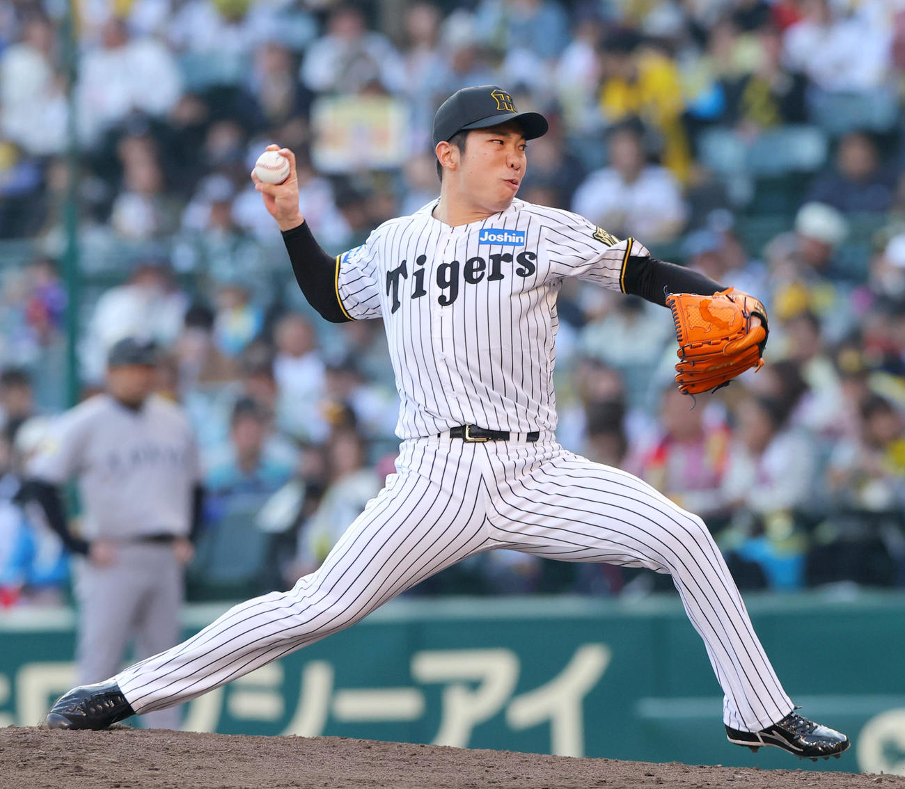 阪神石井大智（2025年4月26日撮影）