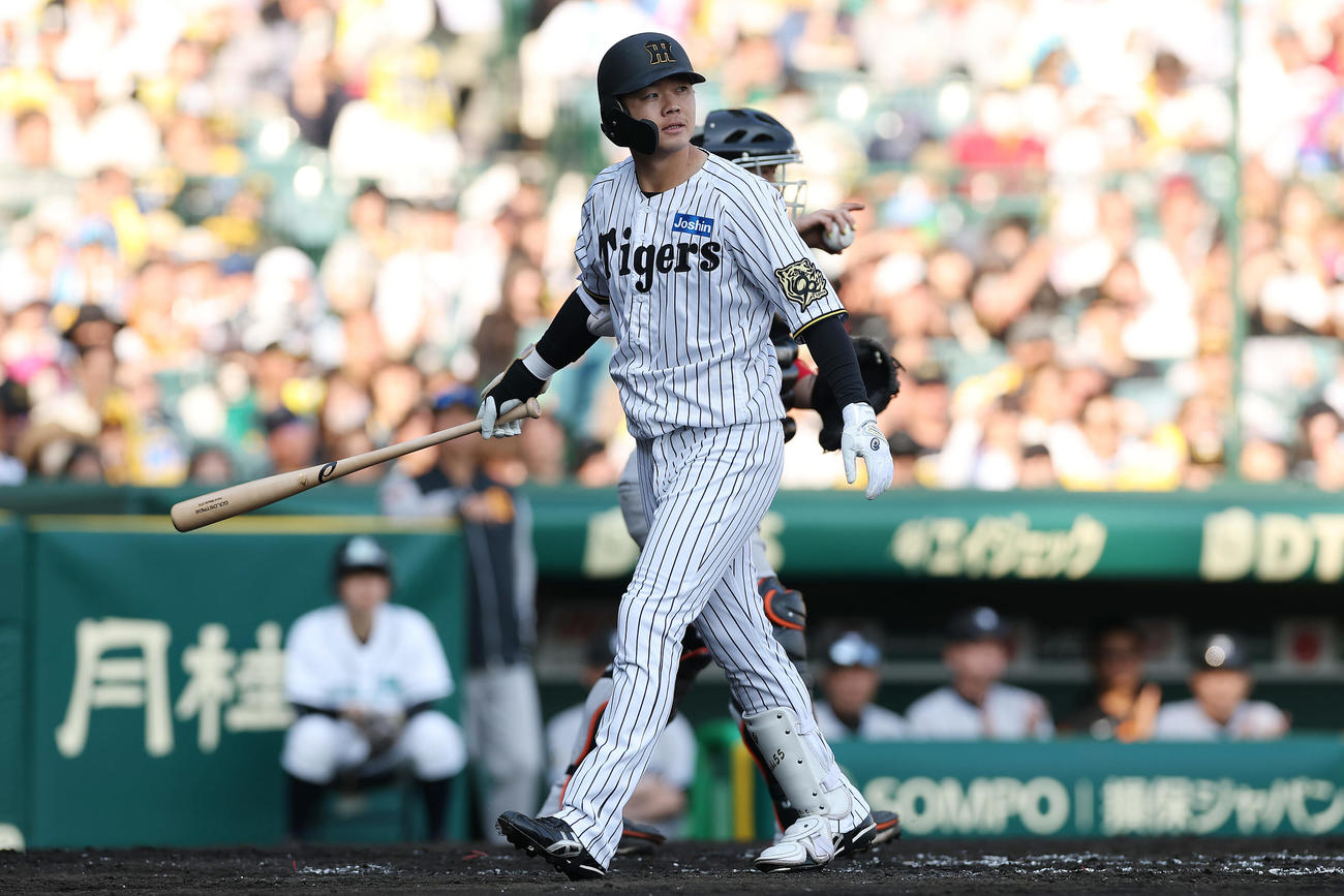 26日の巨人戦で代打出場も空振り三振に倒れた阪神楠本泰史（4月26日撮影）