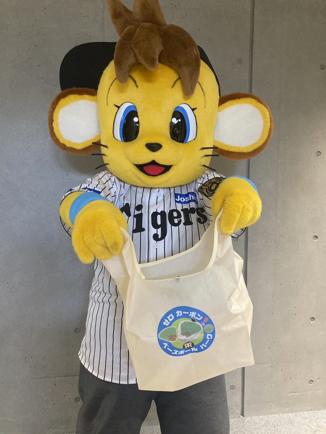 「エ虎フェス」開催試合の入場者にプレゼントされるエコバッグ