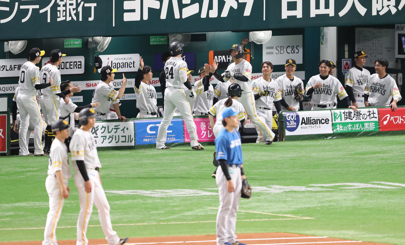 ソフトバンク対日本ハム　1回裏ソフトバンク無死一、三塁、栗原の左犠飛で生還した野村はベンチのナインとハイタッチ（撮影・梅根麻紀）