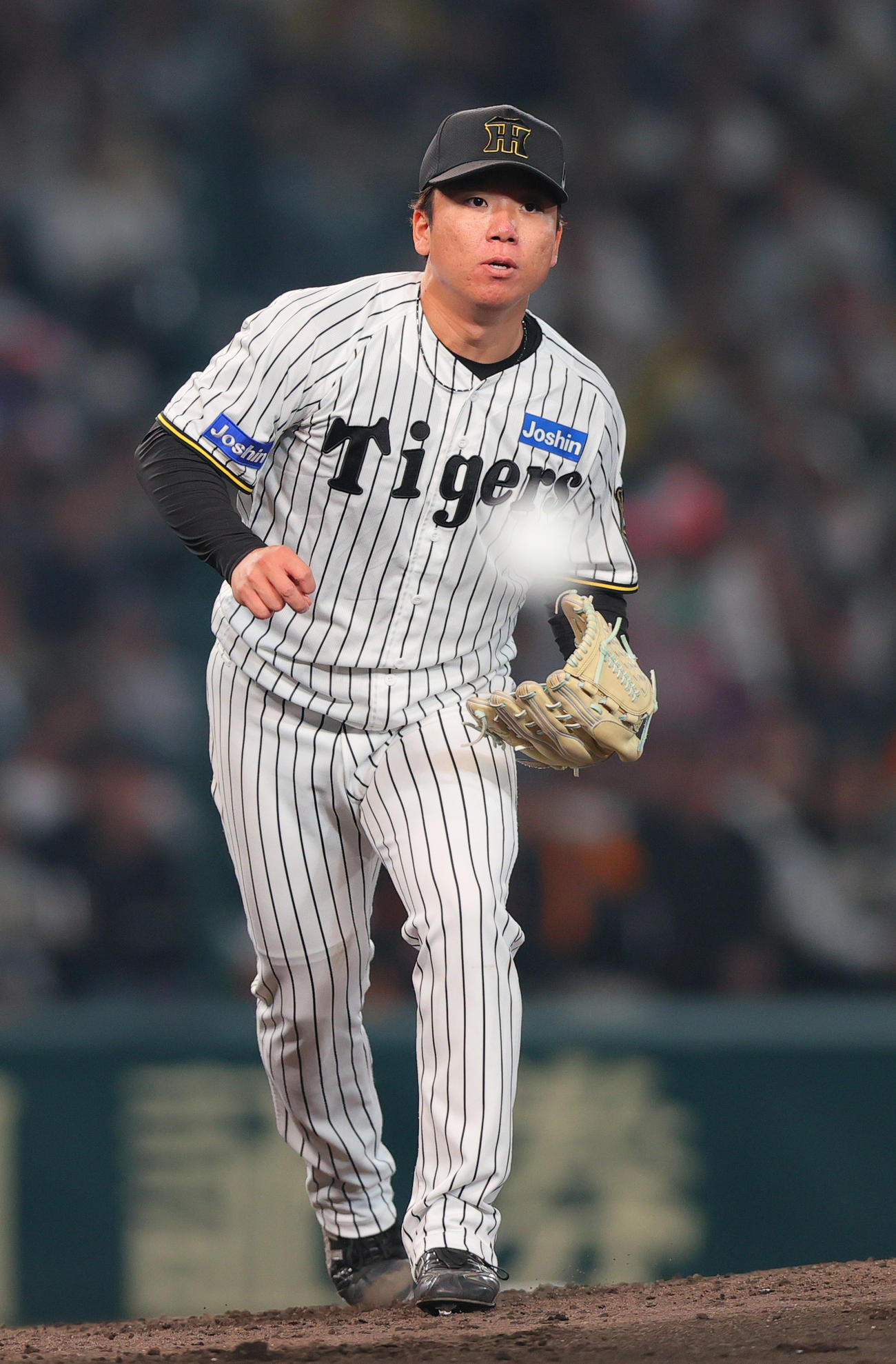 阪神村上頌樹（2025年4月25日撮影）