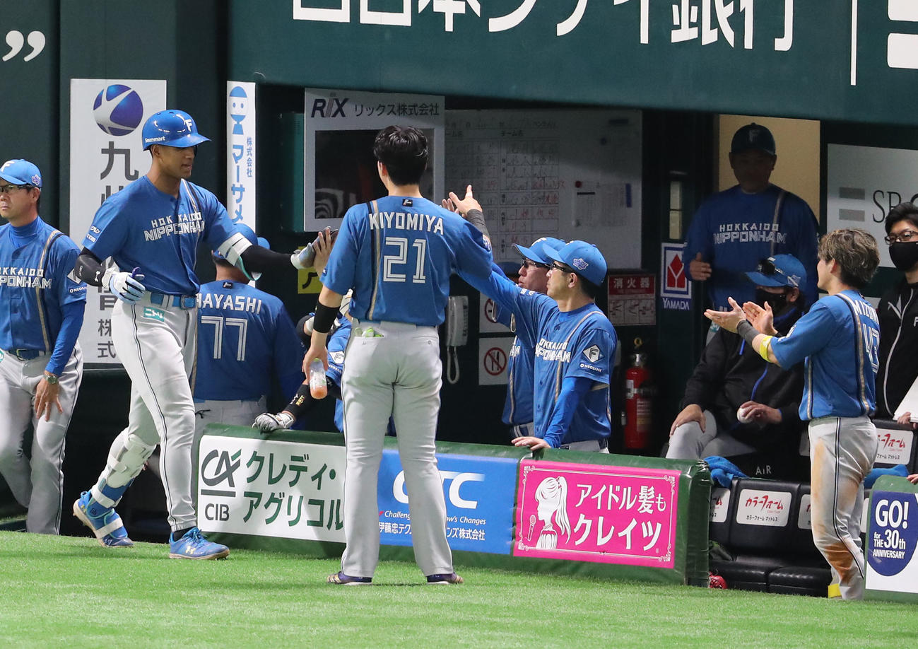 ソフトバンク対日本ハム　7回表日本ハム1死、万波は勝ち越し本塁打を放ちベンチのナインとハイタッチ（撮影・梅根麻紀）