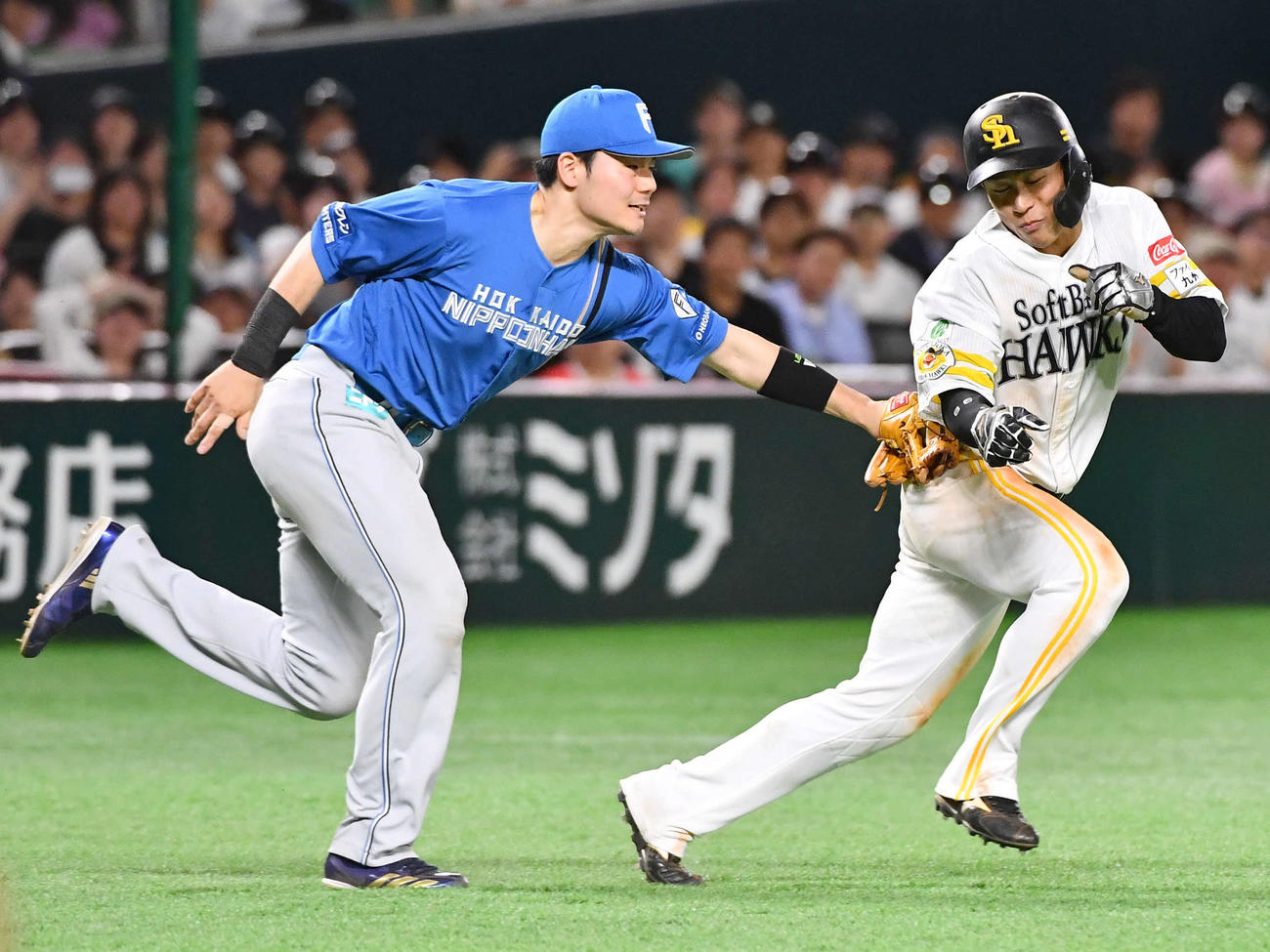 ソフトバンク対日本ハム　8回裏ソフトバンク2死一、二塁、中村の打席で飛び出し、タッチアウトとなった二塁走者の野村（右）。左は清宮幸（撮影・岩下翔太）